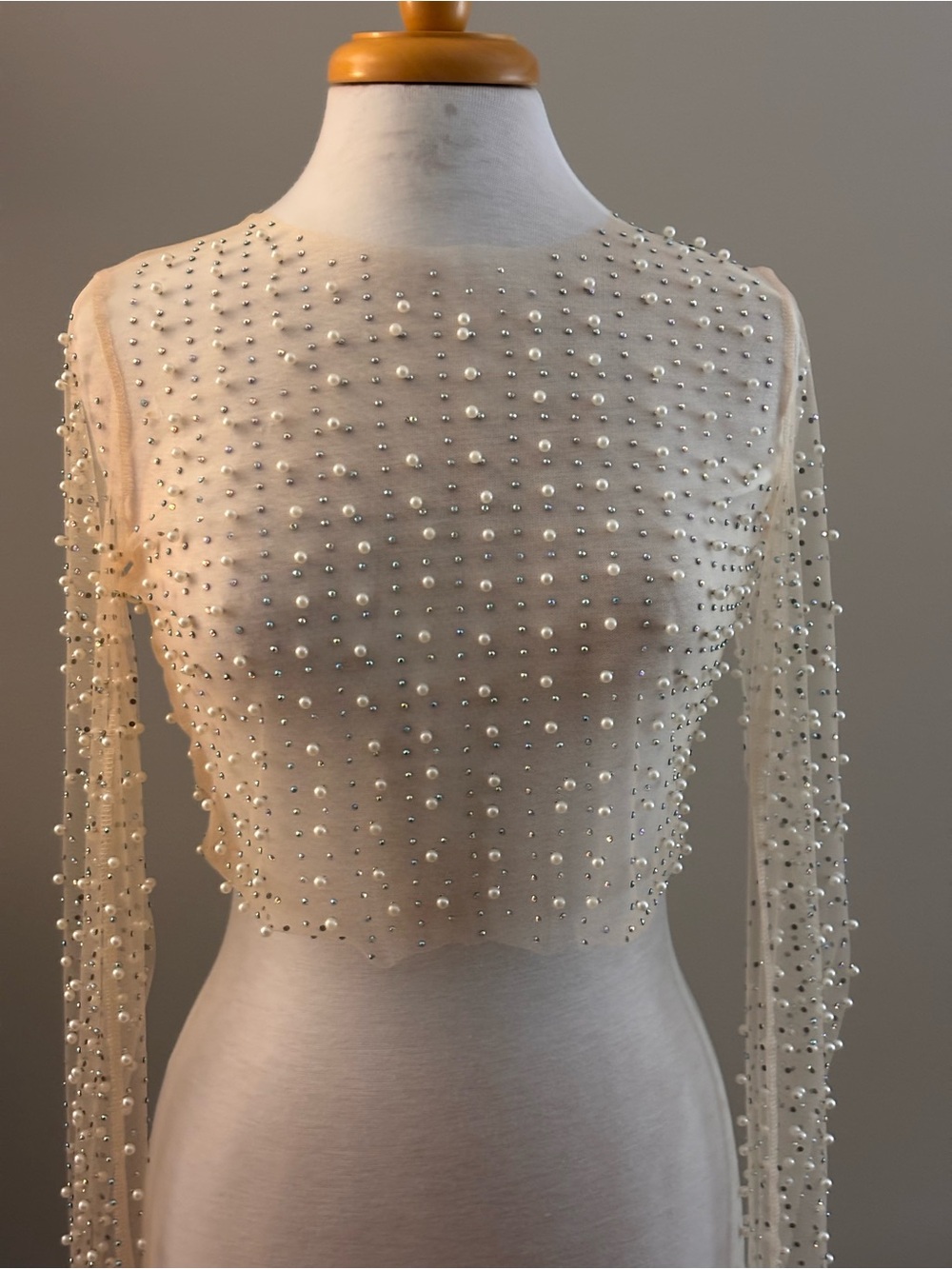 Sheer Pearl-Embellished Cropped Top in Ivory